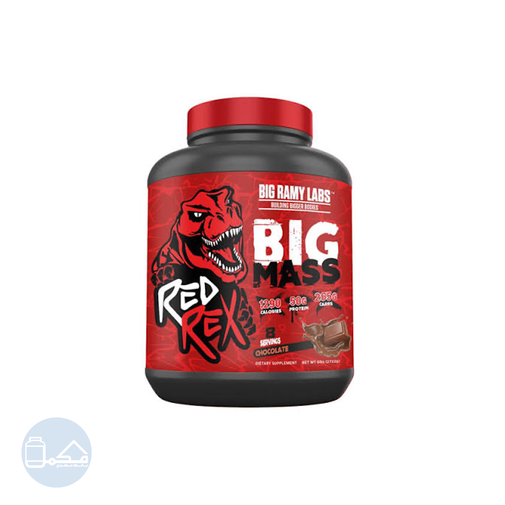 پودر گینر بیگ مس بیگ رامی لبز 2722 گرم | Big Mass Big Ramy Labs
